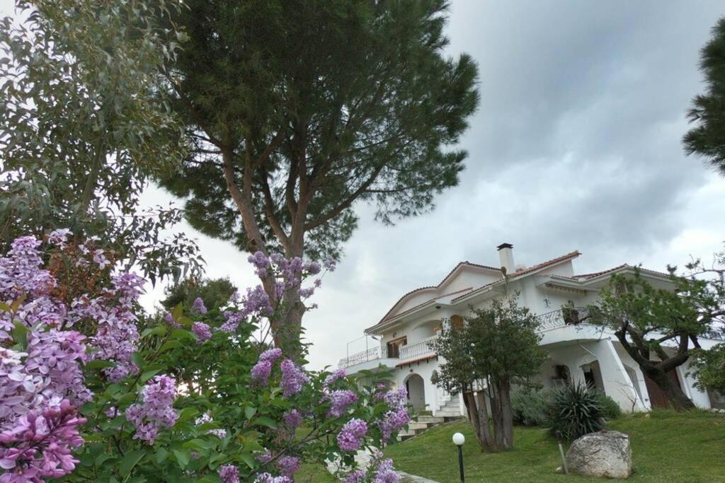 Holiday home Triple H Volos